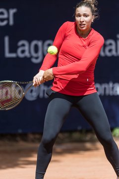 Bild 496 - BL DTV Hannover - BW Dresden Blasewitz : Ergebnis: 2:7